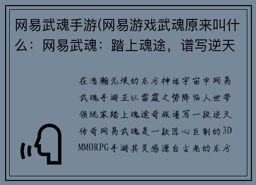 网易武魂手游(网易游戏武魂原来叫什么：网易武魂：踏上魂途，谱写逆天传奇)