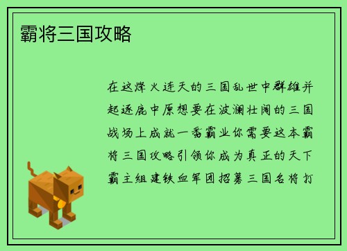 霸将三国攻略